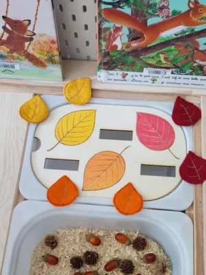 Plateau sensoriel d’automne Montessori avec feuilles en feutrine à associer et bac sensoriel nature