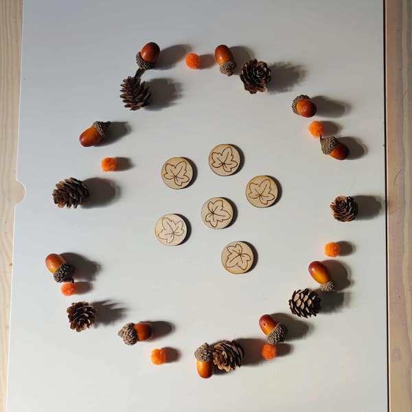 Jetons ronds en bois gravés de feuilles d’automne pour activités sensorielles et jeux éducatifs