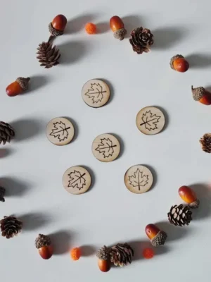 Jetons en bois gravés de feuilles d’érable entourés d’éléments naturels d’automne pour activité sensorielle
