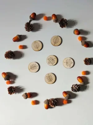 Jetons en bois gravés de différents motifs de feuilles pour activités sensorielles d’automne