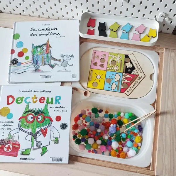 Atelier émotionnel Montessori avec livres “La couleur des émotions” et “Docteur des émotions”, jeu en bois et pompons sensoriels