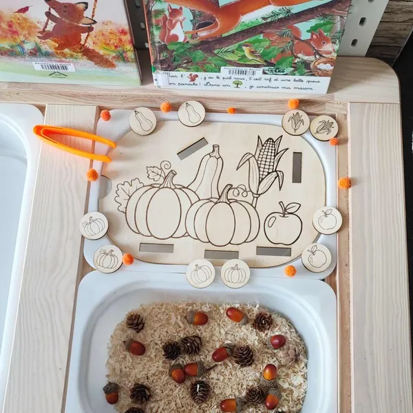 Plateau d’activité Montessori en bois sur le thème de l’automne avec jetons à trier et bac sensoriel nature