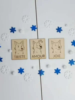 Cartes émotions loup en bois avec décor hivernal pour activité éducative enfant