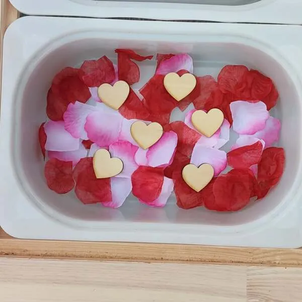 Plateau sensoriel avec pétales rouges et roses et cœurs en bois pour activité Saint-Valentin enfant