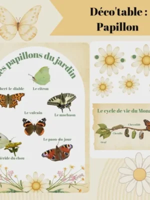 Affiche pédagogique et éléments décoratifs PDF pour table d’activité thème papillon avec cycle de vie et papillons du jardin.