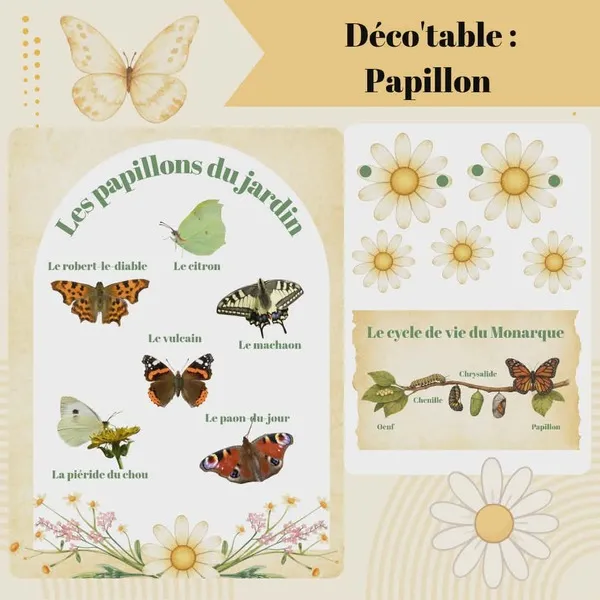 Affiche pédagogique et éléments décoratifs PDF pour table d’activité thème papillon avec cycle de vie et papillons du jardin.