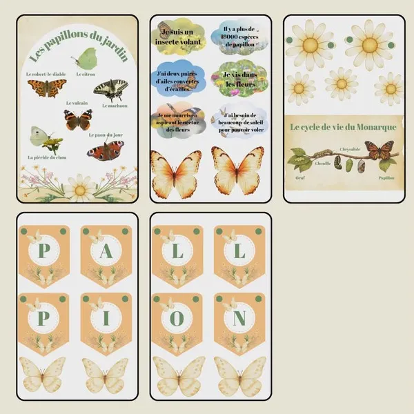Fichier PDF éducatif thème papillon avec affiches pédagogiques, cycle de vie du papillon et guirlande décorative.