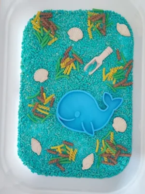 Bac sensoriel mer avec baleine et coquillages