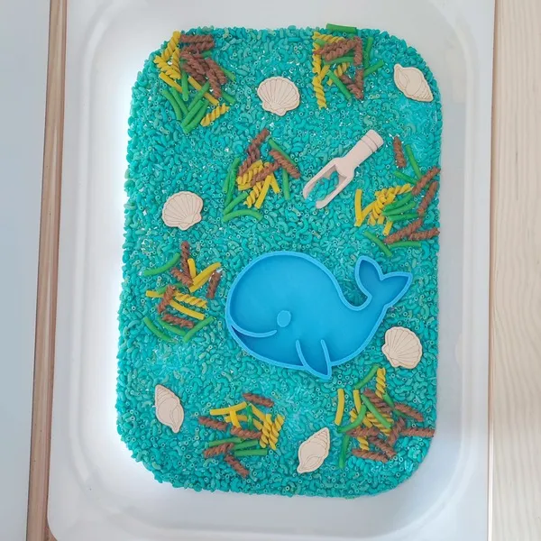 Bac sensoriel mer avec baleine et coquillages