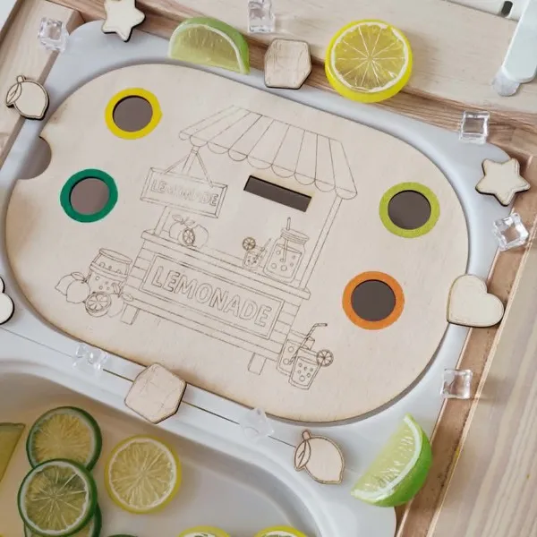 Insert bois limonade tri des couleurs activité sensorielle enfant