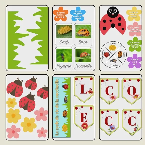 Décoration table coccinelle à imprimer avec cartes cycle de vie insecte guirlande lettres et illustrations enfant