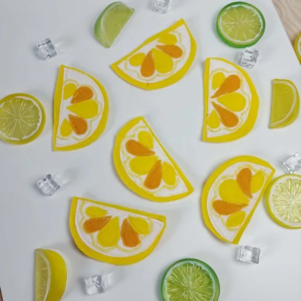 Tranches citron feutrine activité sensorielle enfant jeu éducatif