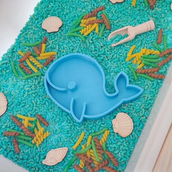 Détail bac sensoriel mer avec baleine bleue et coquillages