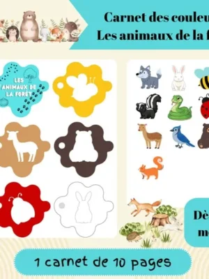 Couverture d'un carnet des couleurs sur le thème des animaux de la forêt avec différents animaux à associer à leur couleur.