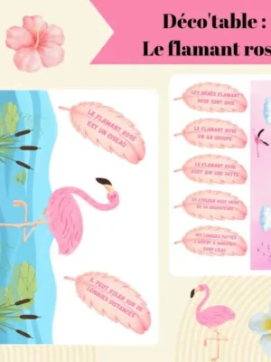 Affiche présentant une décoration de table sur le thème du flamant rose avec des fanions, des plumes illustrées contenant des informations sur le flamant rose et une frise décorative.