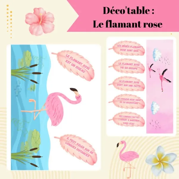 Affiche présentant une décoration de table sur le thème du flamant rose avec des fanions, des plumes illustrées contenant des informations sur le flamant rose et une frise décorative.